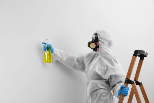 Best Mold Prevention Services  in Pendleton, SC